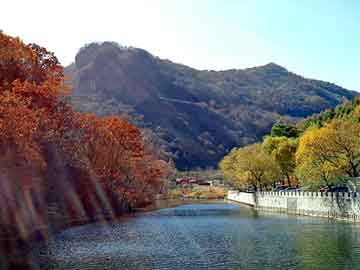 茶陵县红色农场领导团队引领农场新发展之路